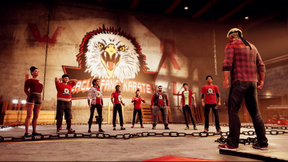 Cobra Kai Collection Screenshot