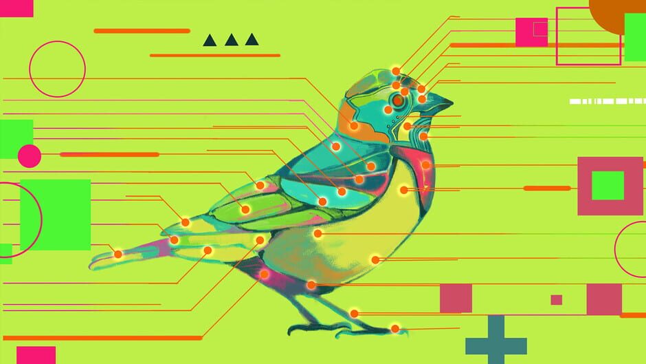 Avian Enigma Screenshot