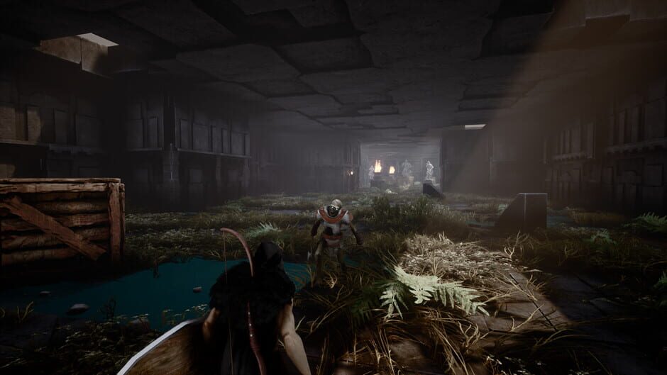Ruins of Endoth Screenshot