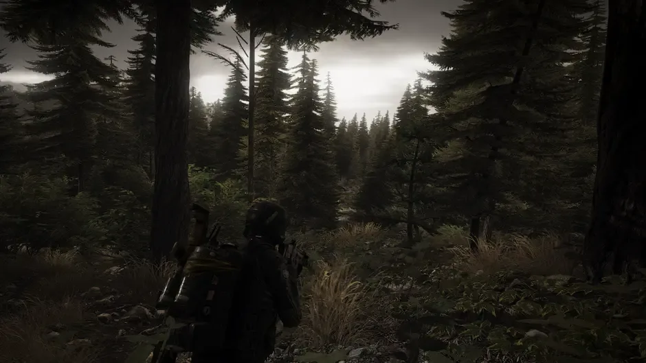 Screenshot 21