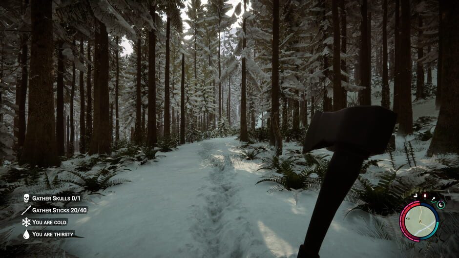 Screenshot Sons of the Forest