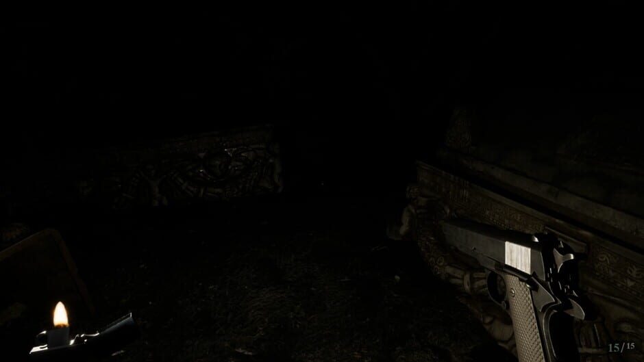 Domus Abscondita Screenshot