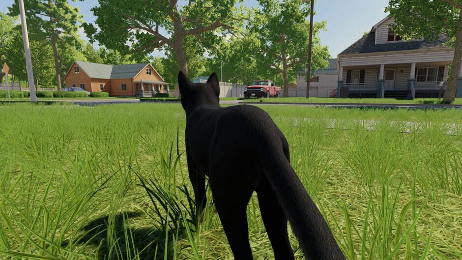 สกรีนช็อตจาก Reign of Cats (รูปที่ 3)