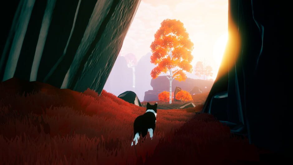Screenshot Farewell North