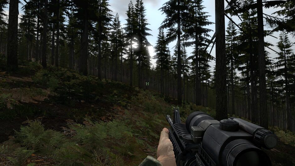 Arma 2 Screenshot