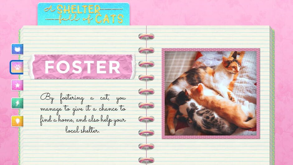 A Shelter Full of Cats Screenshot