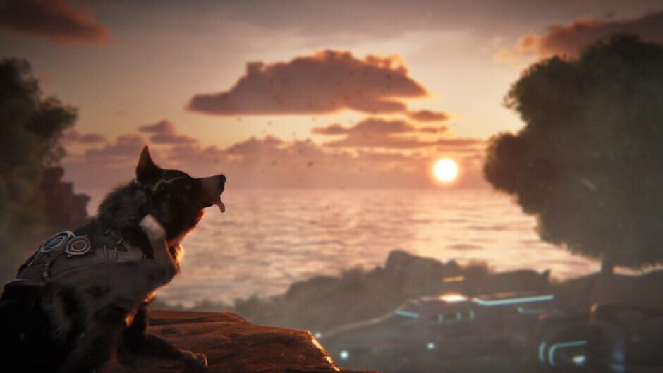 Screenshot Barkour