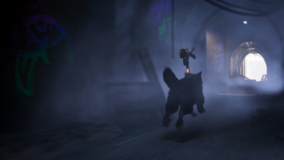 Screenshot Barkour