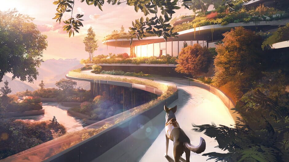 Screenshot Barkour