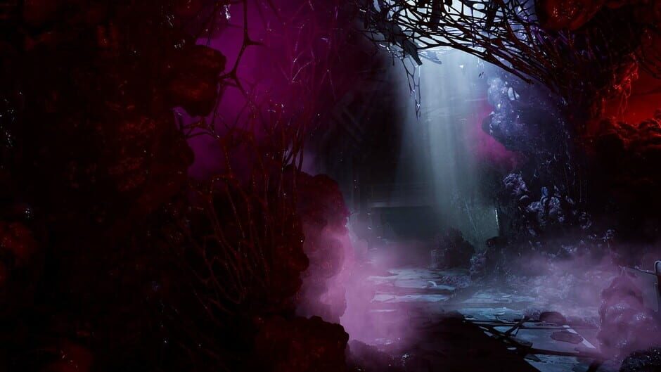 Screenshot Directive 8020