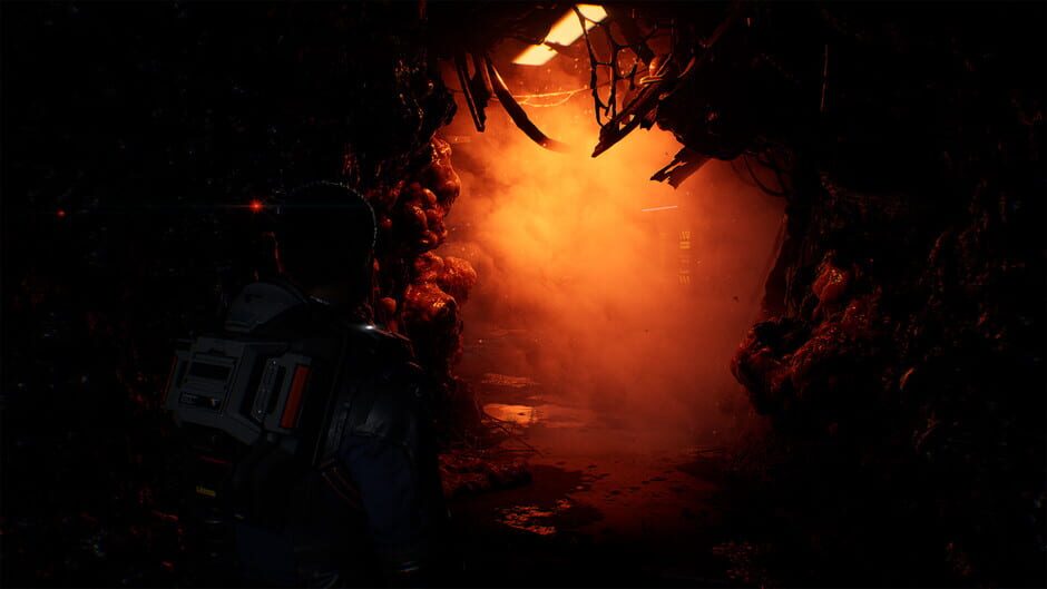 Screenshot Directive 8020