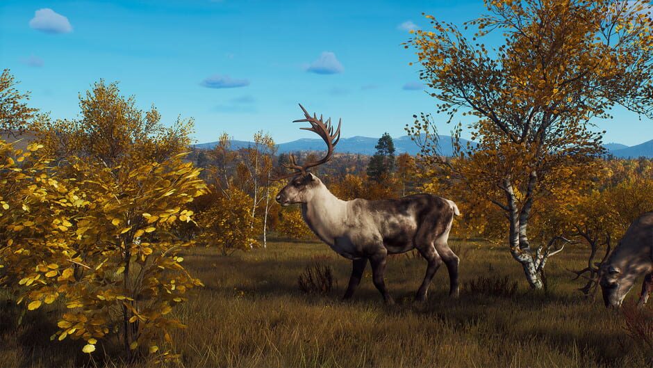 Way of the Hunter: Lintukoto Reserve Screenshot