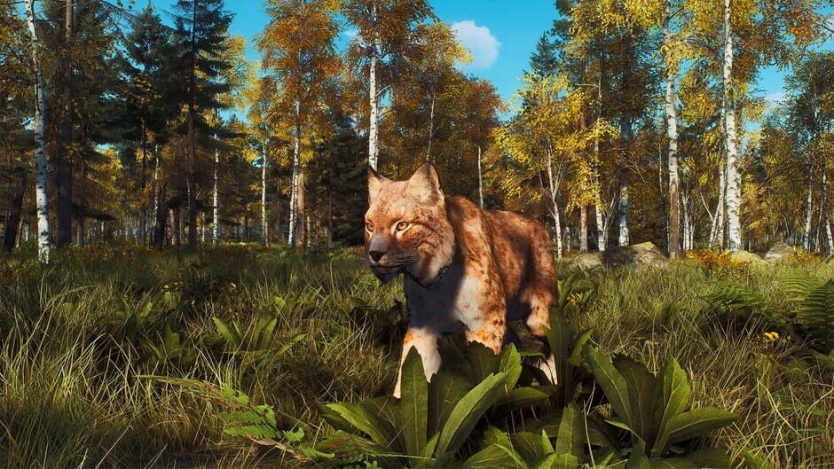 Way of the Hunter: Lintukoto Reserve Screenshot