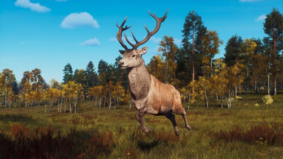 Way of the Hunter: Lintukoto Reserve Screenshot