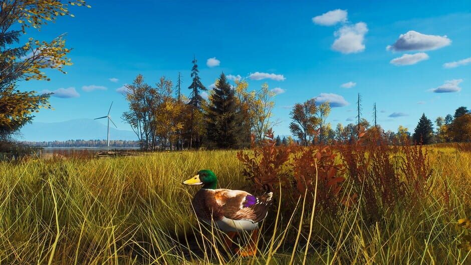 Way of the Hunter: Lintukoto Reserve Screenshot