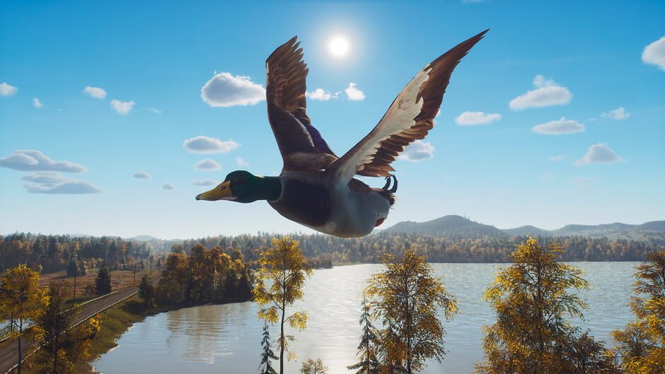 Way of the Hunter: Lintukoto Reserve Screenshot