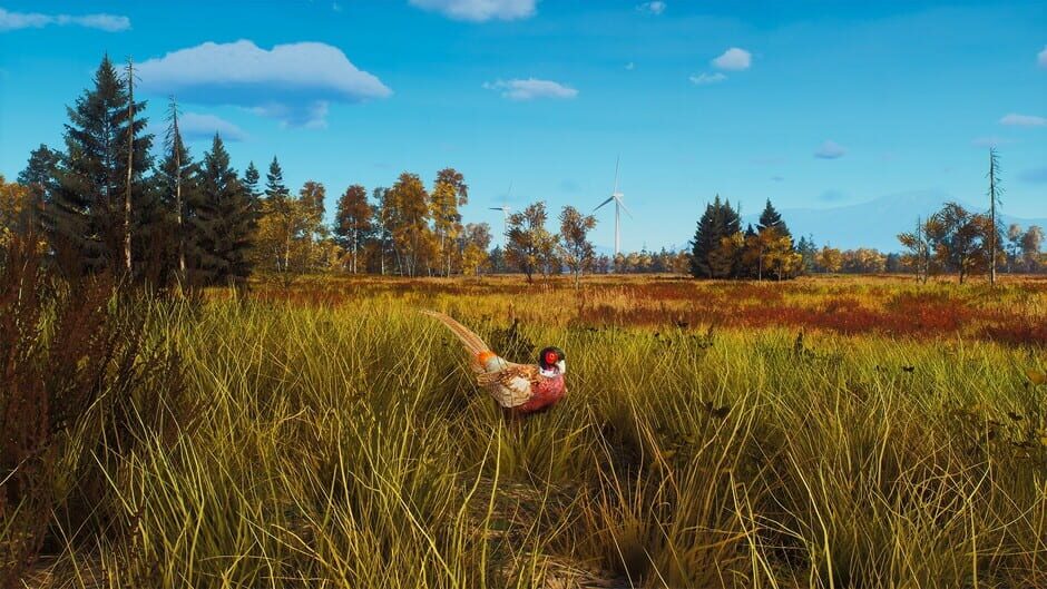 Way of the Hunter: Lintukoto Reserve Screenshot