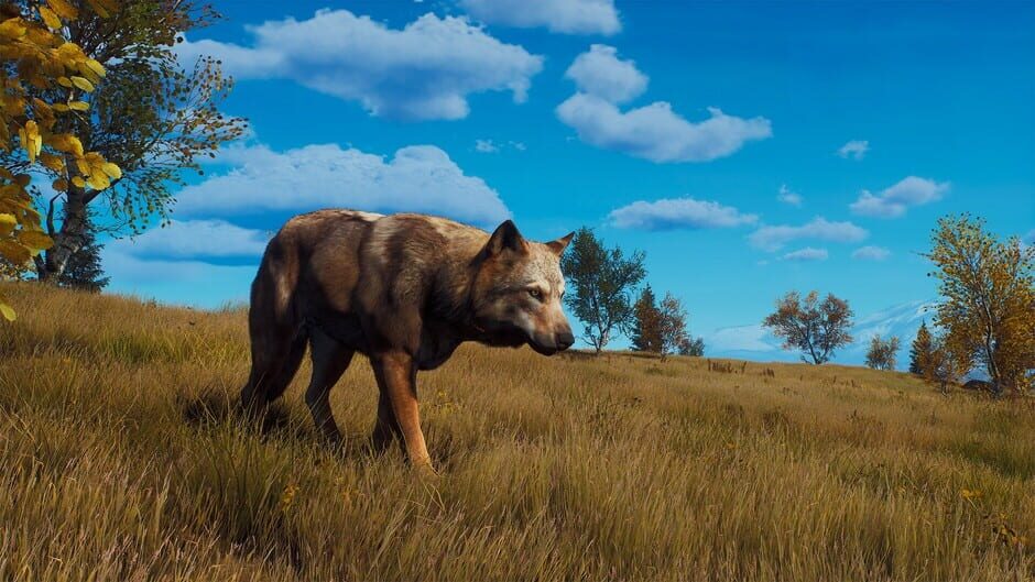 Way of the Hunter: Lintukoto Reserve Screenshot