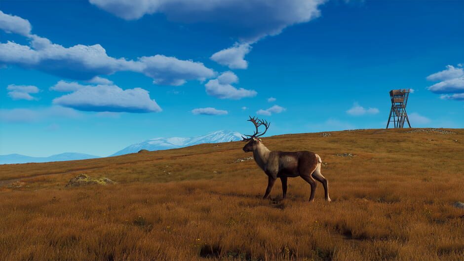 Way of the Hunter: Lintukoto Reserve Screenshot