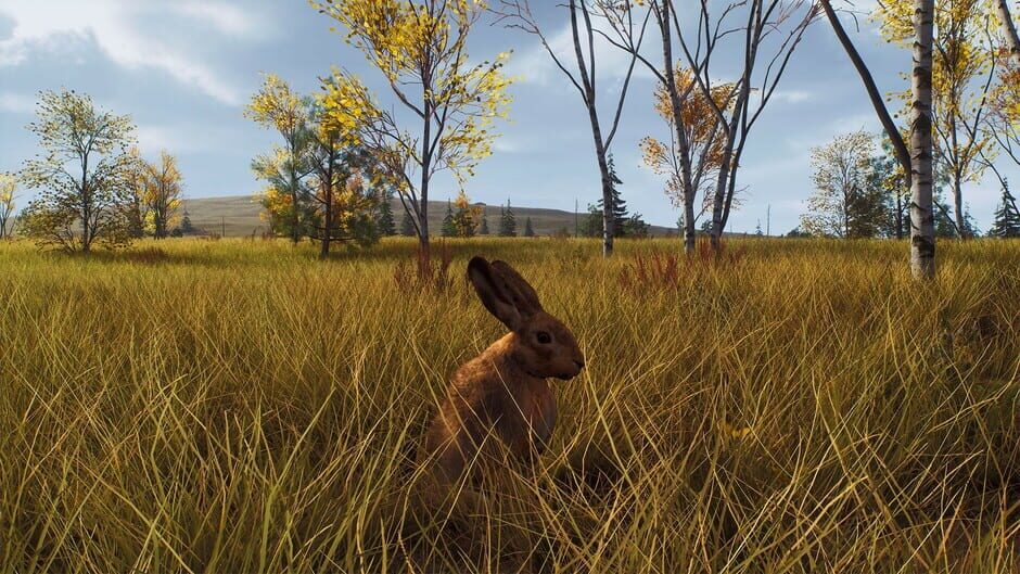 Way of the Hunter: Lintukoto Reserve Screenshot