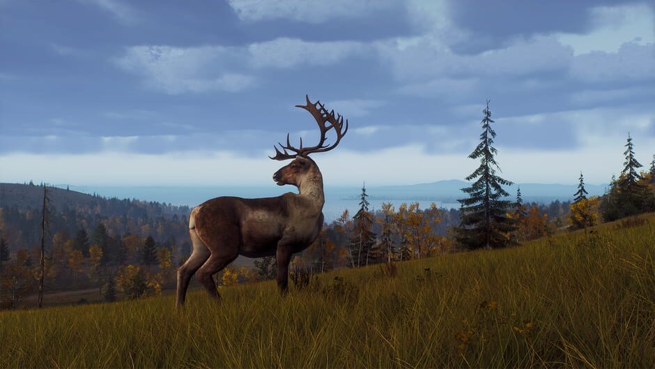 Way of the Hunter: Lintukoto Reserve Screenshot