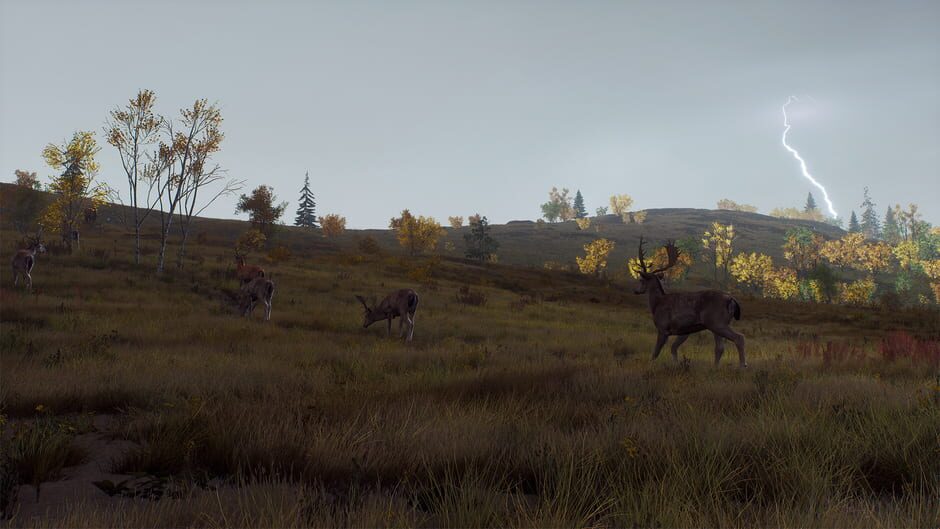 Way of the Hunter: Lintukoto Reserve Screenshot
