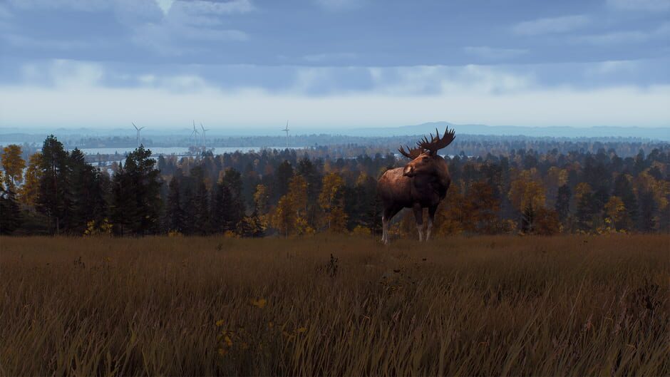 Way of the Hunter: Lintukoto Reserve Screenshot