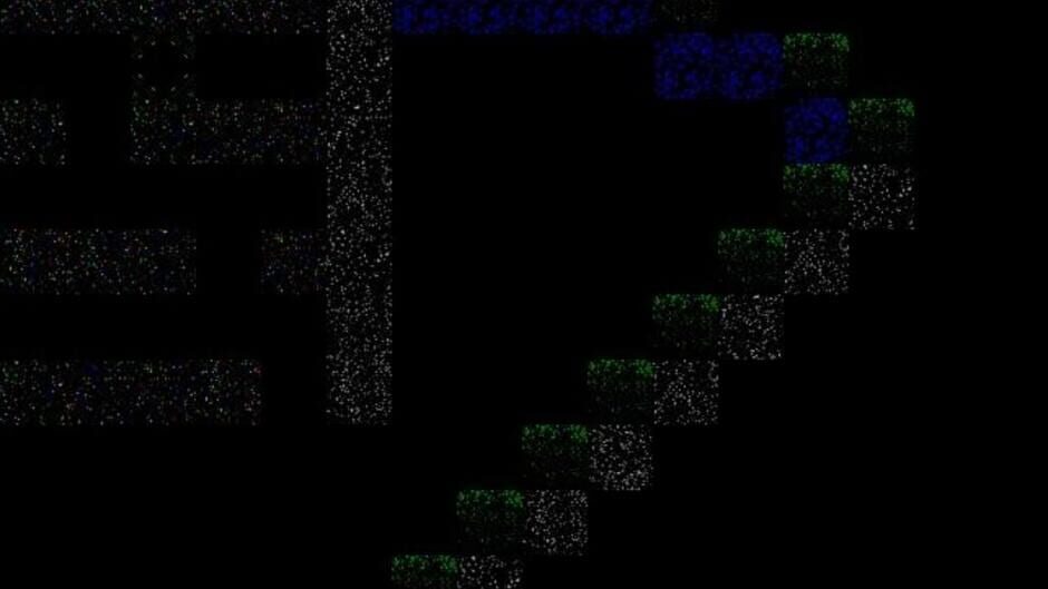 Stardust screenshot