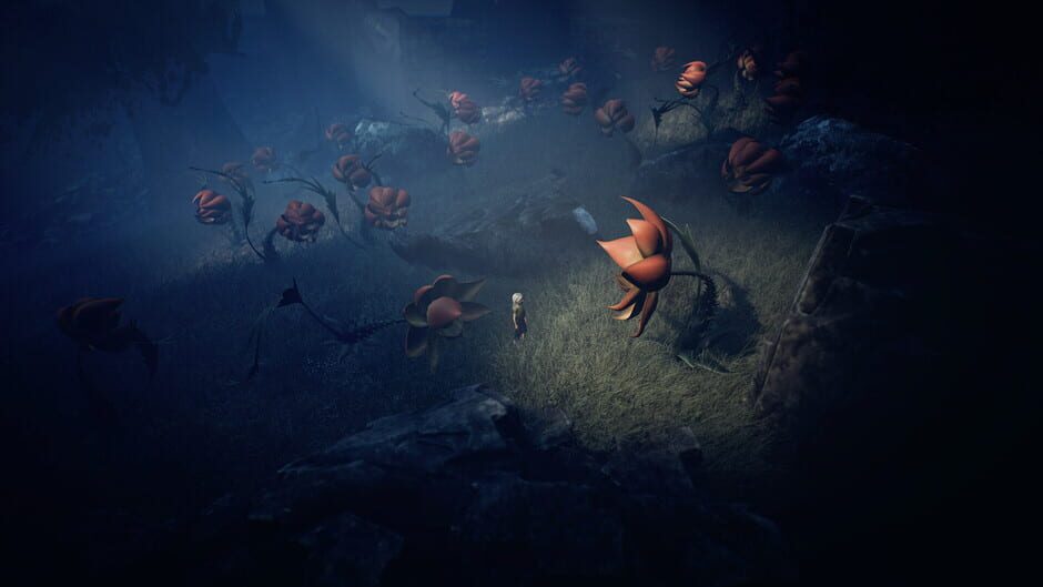 Screenshot Ayasa: Shadows of Silence