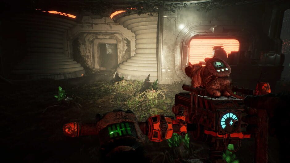 Screenshot Animal Use Protocol