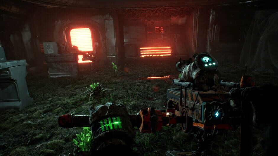 Screenshot Animal Use Protocol