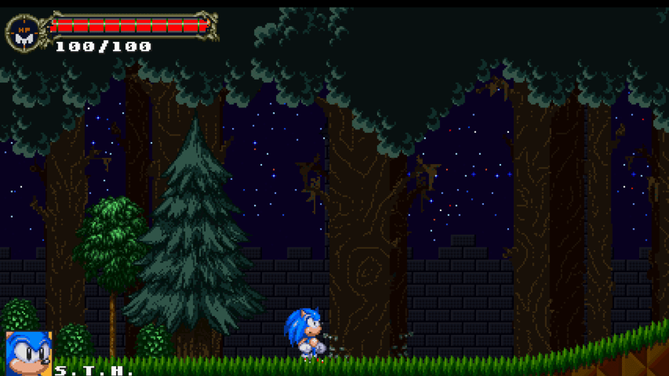 Sonic: The Murdering Insanity Screenshot