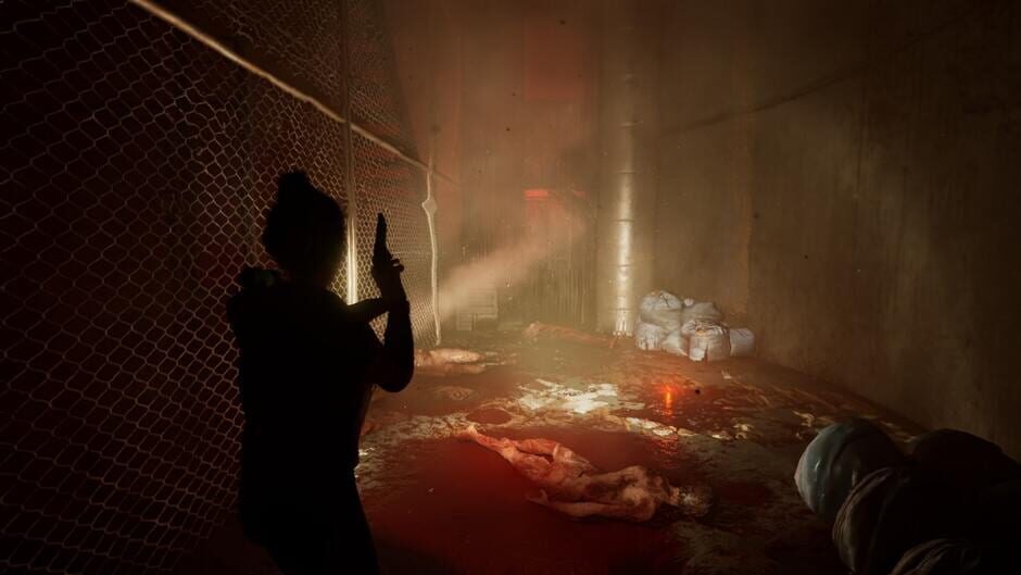 Outbreak: Shades of Horror Chromatic Split Screenshot