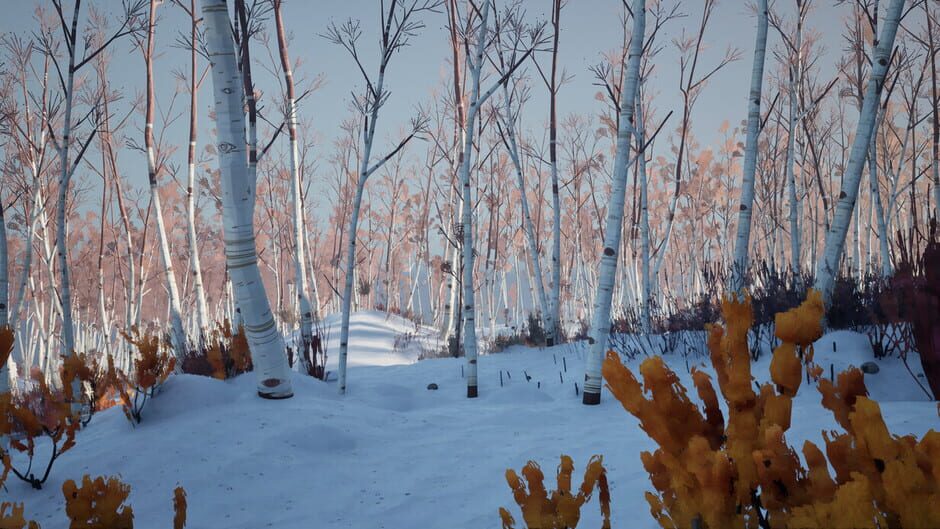 Screenshot Blackfrost: The Long Dark 2