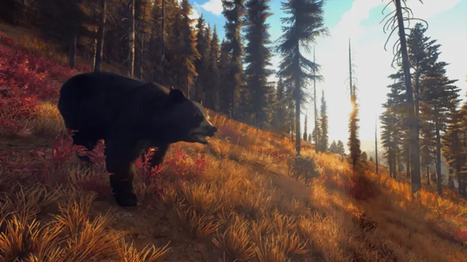 Screenshot 13