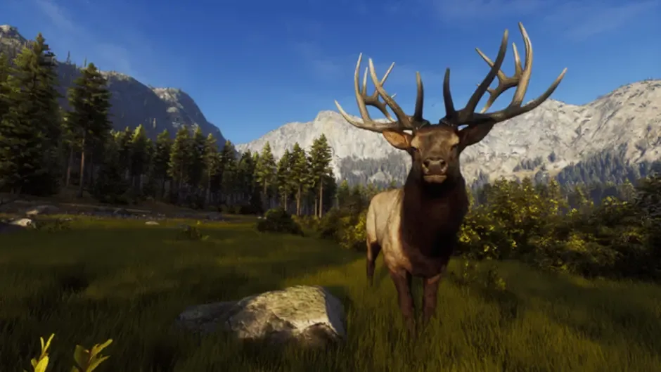 Screenshot 15