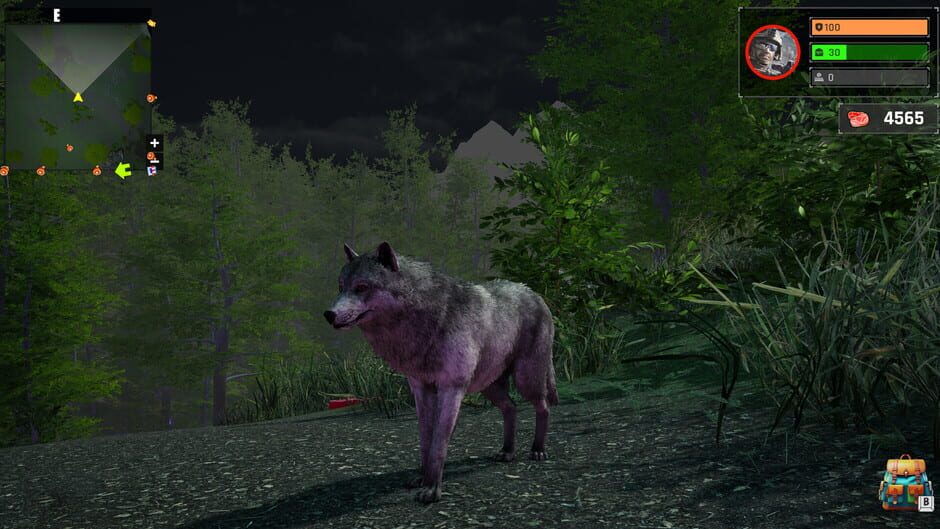 Wolf Simulator: Silent Paws screenshot