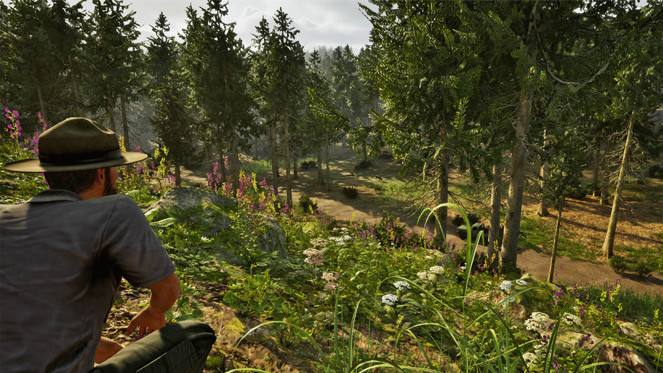 Park Ranger Simulator Screenshot