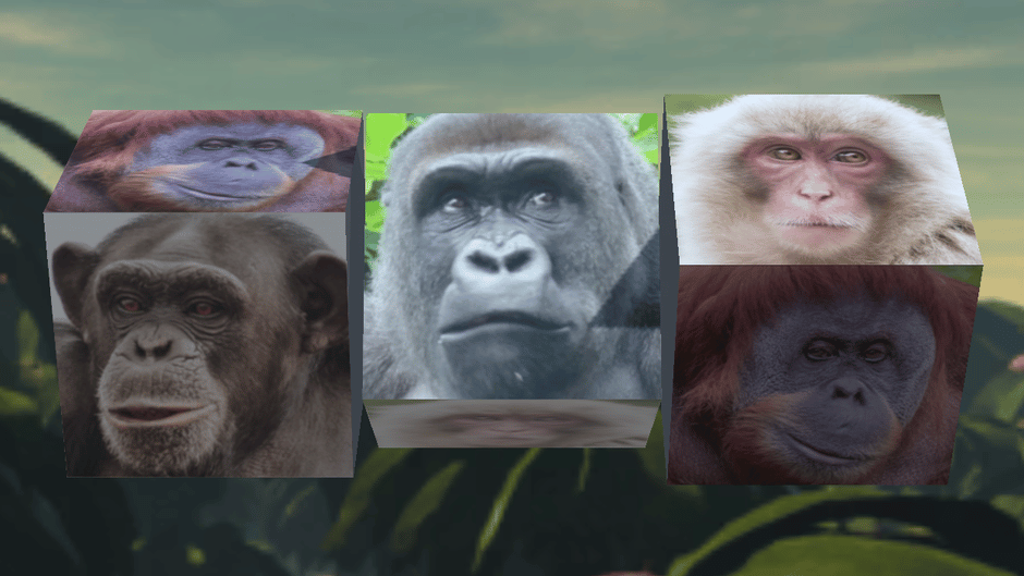 Gorilla Slot Infinity Screenshot