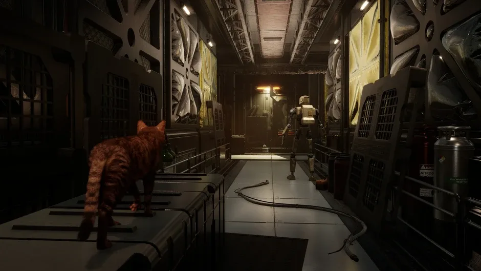 Кадър от Catfall