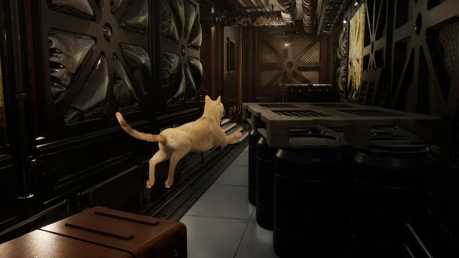 Кадър от Catfall