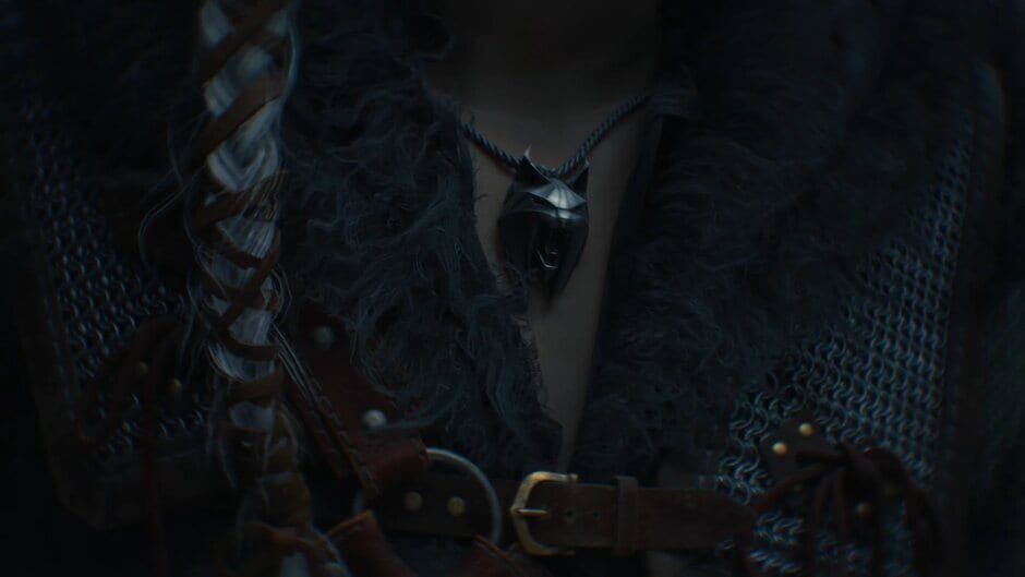 Screenshot The Witcher IV