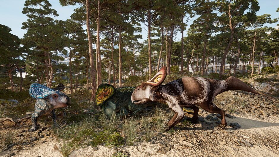 Sentinel Agency Screenshot