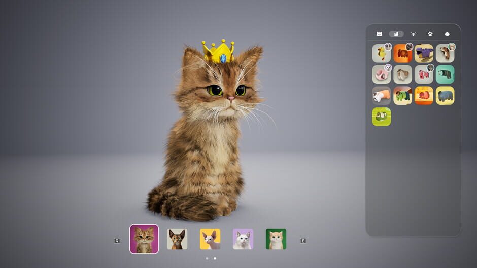 Screenshot Catly