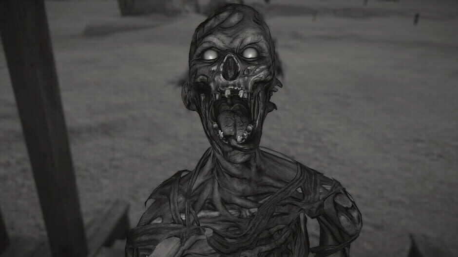 Scary Shadow Spot: Bitter Glass Screenshot