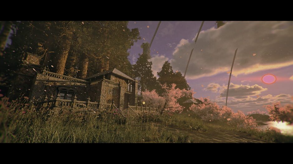 Screenshot Code Violet