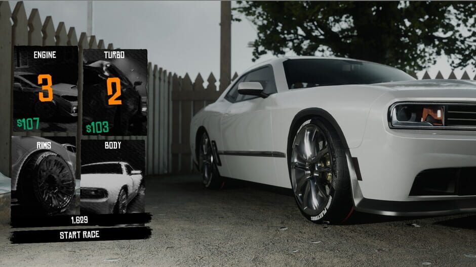 Screenshots Backyard Boxing