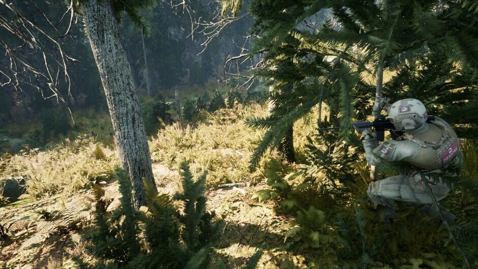 Screenshot Exfil