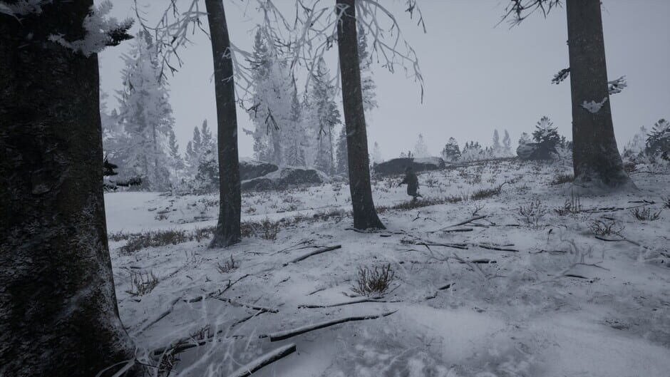 Screenshot Exfil