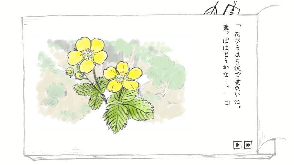 สกรีนช็อตจาก Satoyama Note Spring Walk (รูปที่ 6)